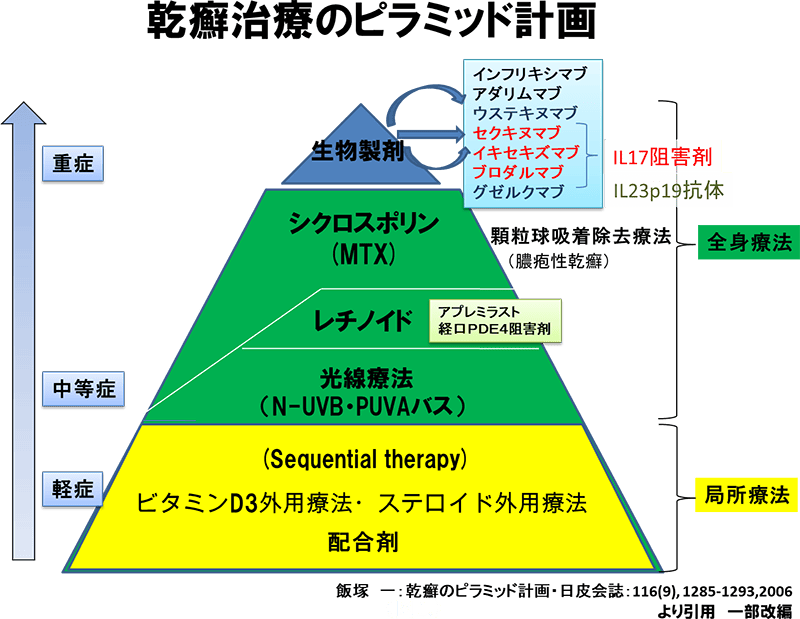 乾癬治療のピラミッド計画