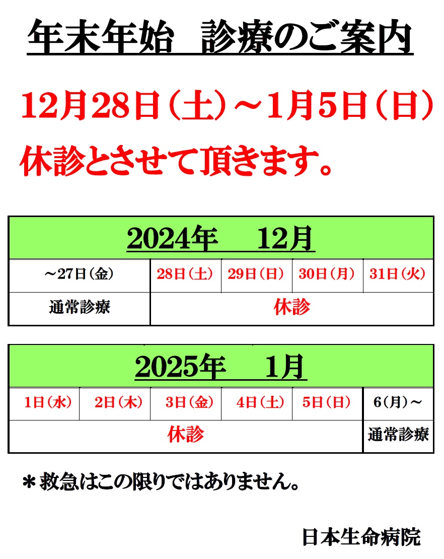 20241219_new_year_holidays_01.jpg